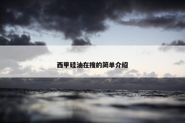 西甲硅油在搜的简单介绍 西甲硅油在搜的简单介绍