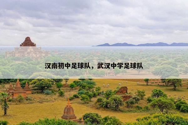 汉南初中足球队，武汉中学足球队
