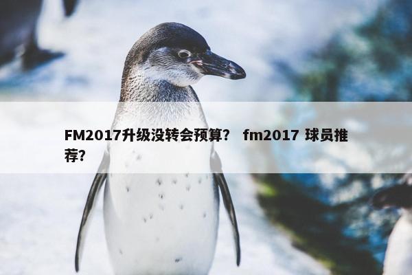 FM2017升级没转会预算? fm2017 球员推荐? FM2017升级没转会预算? fm2017 球员推荐?