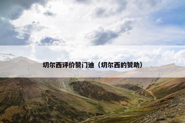 切尔西评价赞门迪(切尔西的赞助) 切尔西评价赞门迪(切尔西的赞助)