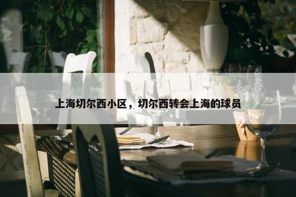 上海切尔西小区，切尔西转会上海的球员