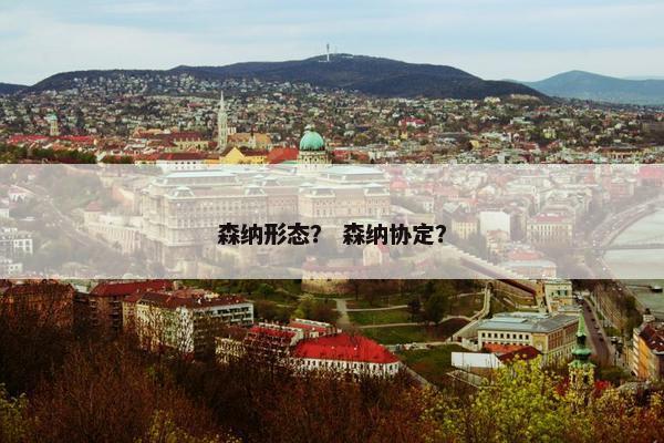 森纳形态? 森纳协定? 森纳形态? 森纳协定?