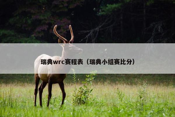 瑞典wrc赛程表（瑞典小组赛比分）