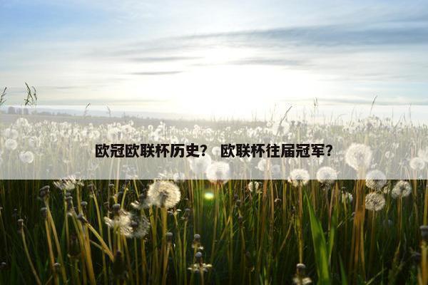 欧冠欧联杯历史？ 欧联杯往届冠军？