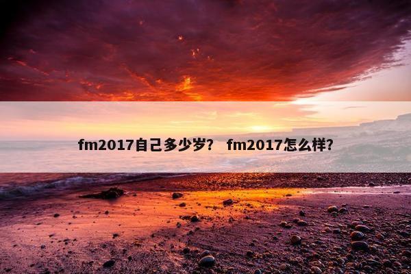 fm2017自己多少岁？ fm2017怎么样？