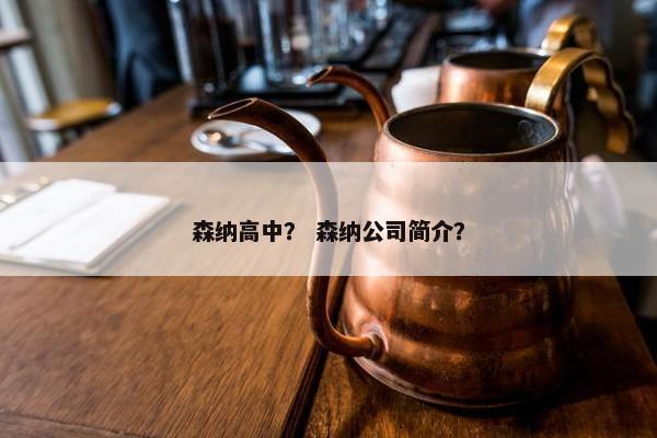 森纳高中？ 森纳公司简介？