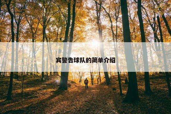 宾警告球队的简单介绍