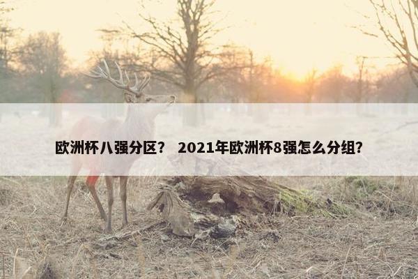 欧洲杯八强分区? 2021年欧洲杯8强怎么分组? 欧洲杯八强分区? 2021年欧洲杯8强怎么分组?