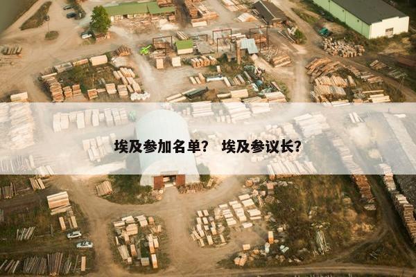 埃及参加名单？ 埃及参议长？