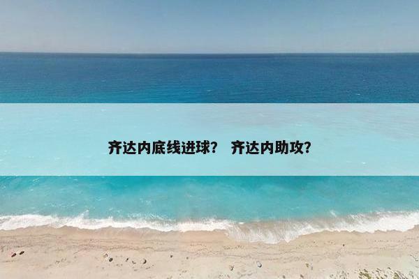 齐达内底线进球？ 齐达内助攻？