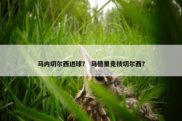 马内切尔西进球？ 马德里竞技切尔西？