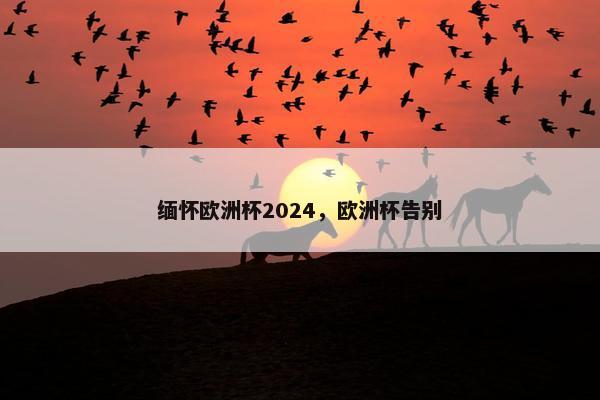 缅怀欧洲杯2024,欧洲杯告别 缅怀欧洲杯2024,欧洲杯告别