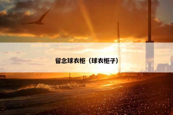 留念球衣柜(球衣柜子) 留念球衣柜(球衣柜子)