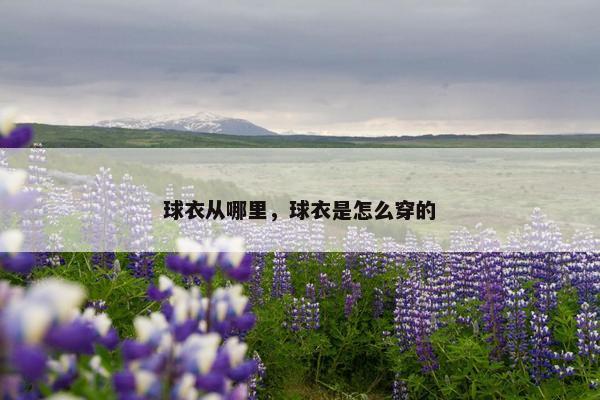 球衣从哪里,球衣是怎么穿的 球衣从哪里,球衣是怎么穿的