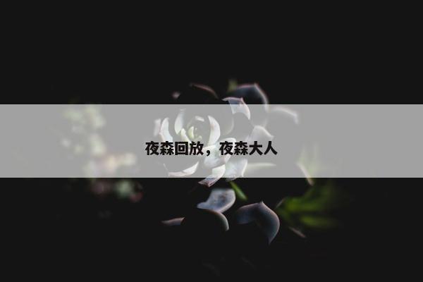 夜森回放，夜森大人