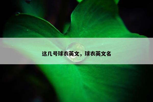 这几号球衣英文，球衣英文名