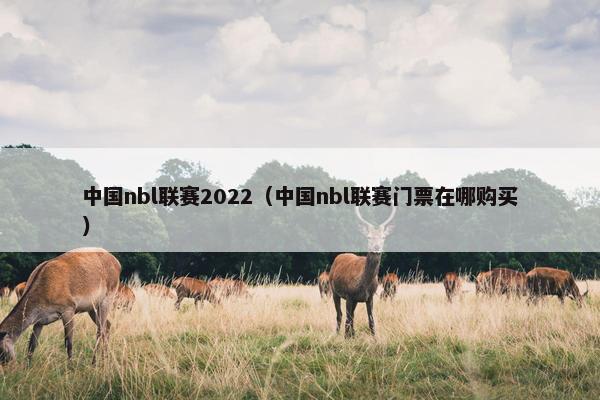 中国nbl联赛2022（中国nbl联赛门票在哪购买）