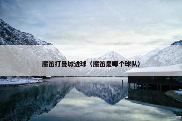 魔笛打曼城进球（魔笛是哪个球队）