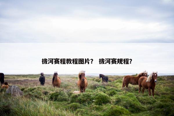 拔河赛程教程图片？ 拔河赛规程？