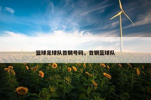 篮球足球队首钢号码,首钢蓝球队 篮球足球队首钢号码,首钢蓝球队