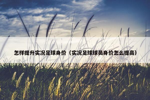 怎样提升实况足球身价(实况足球球员身价怎么提高) 怎样提升实况足球身价(实况足球球员身价怎么提高)