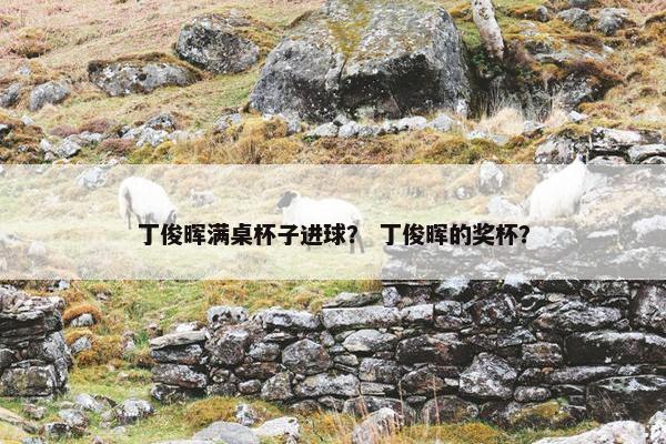 丁俊晖满桌杯子进球？ 丁俊晖的奖杯？